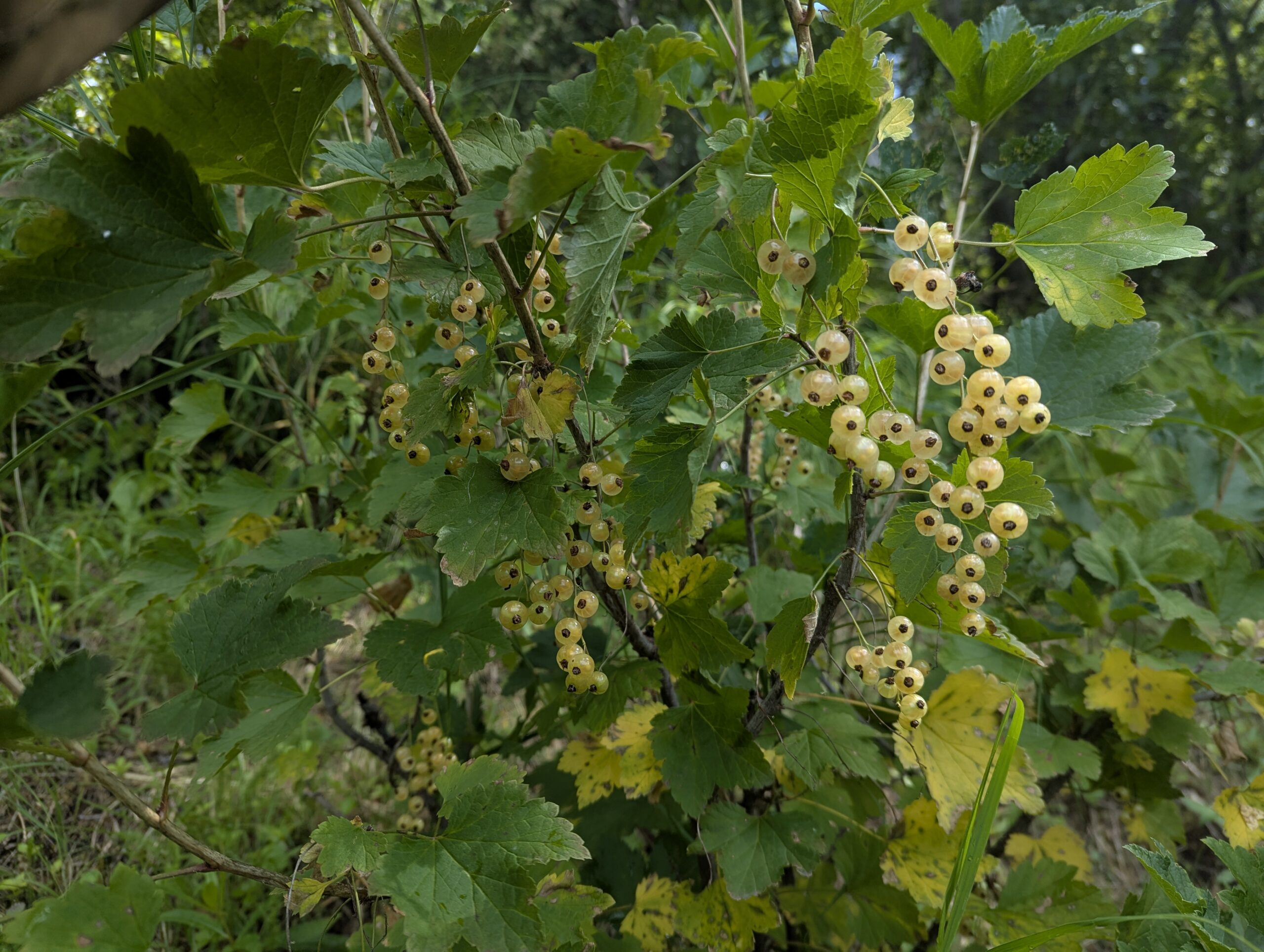 PXL_20250810_223026480